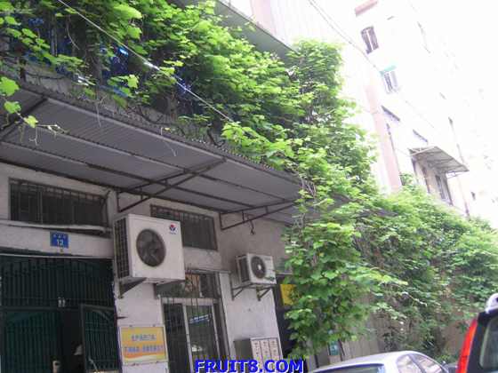 SANY0008.JPG