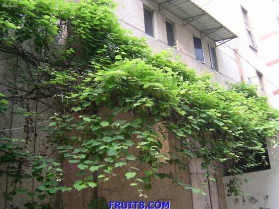 SANY0015.JPG