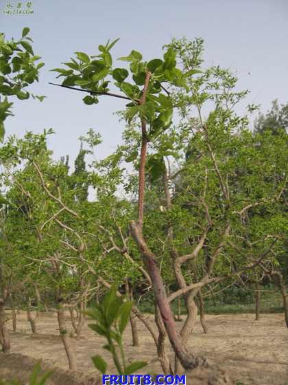 Resize of IMG_3615.jpg