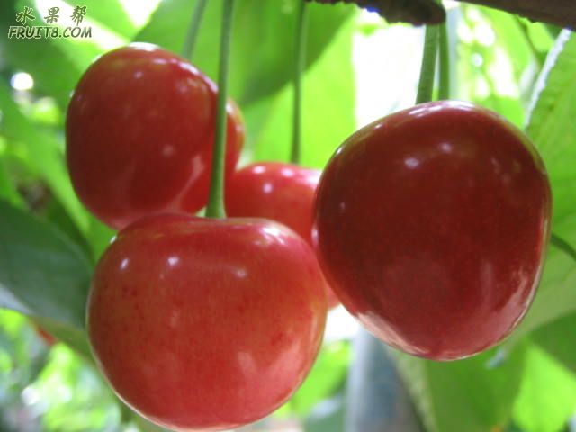 20080512ӣҹܹ 245.jpg