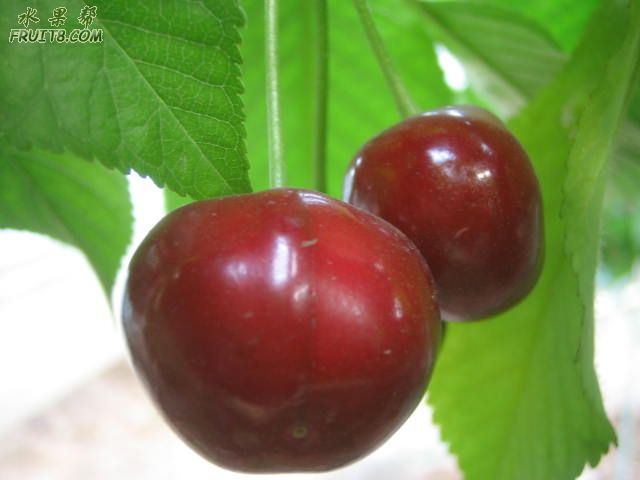 20080512ӣҹܹ 215.jpg