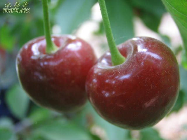 20080512ӣҹܹ 283.jpg