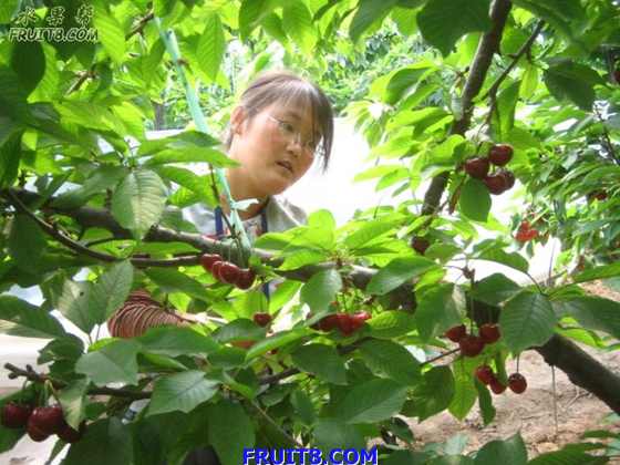 20080512ӣҹܹ 276.jpg