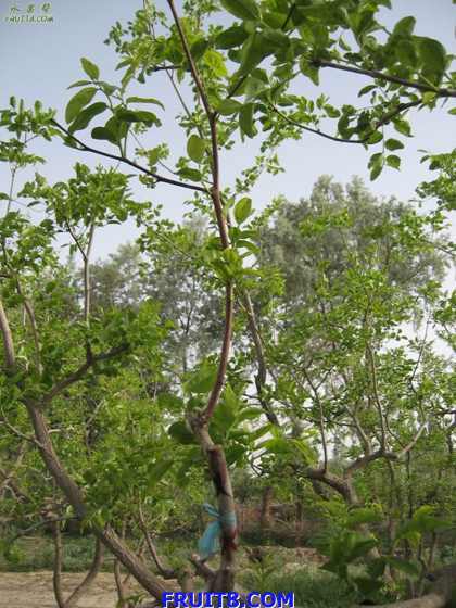 Resize of IMG_3619.jpg