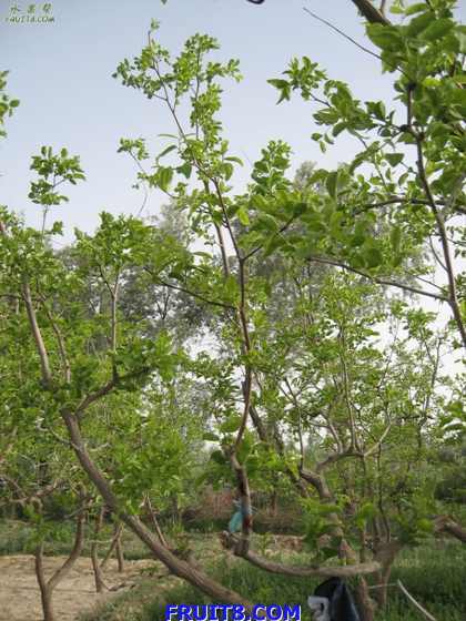 Resize of IMG_3618.jpg