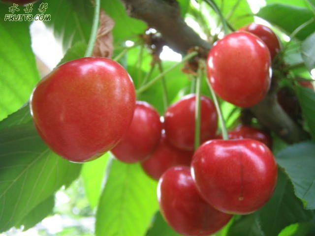 20080512ӣҹܹ 228.jpg