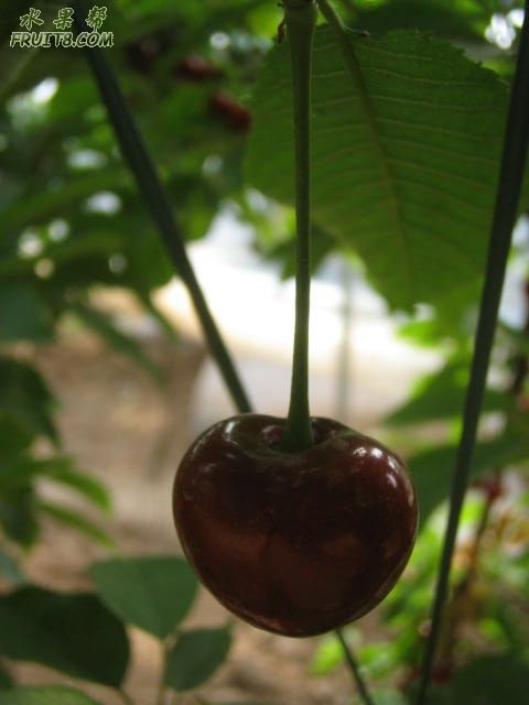 20080512ӣҹܹ 270.jpg