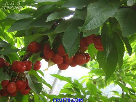 20080512ӣҹܹ 271.jpg