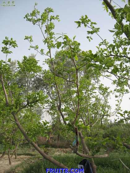 Resize of IMG_3617.jpg