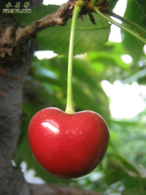 20080512ӣҹܹ 217.jpg