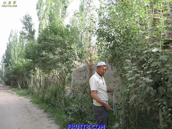 С��÷�޽Ӹ���ɴ�ӣ��63.jpg