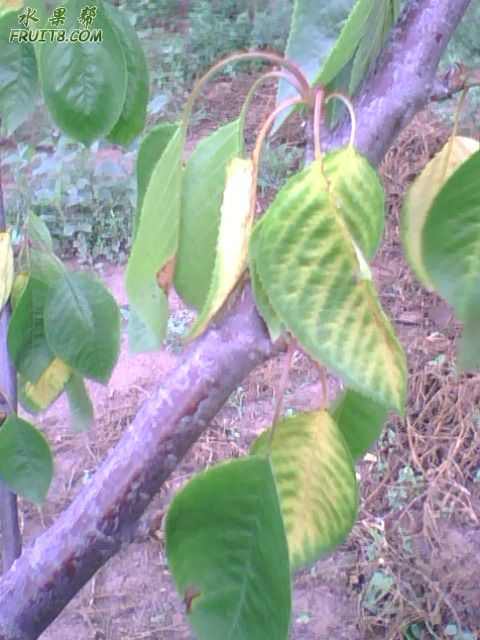 IMG0558A.jpg
