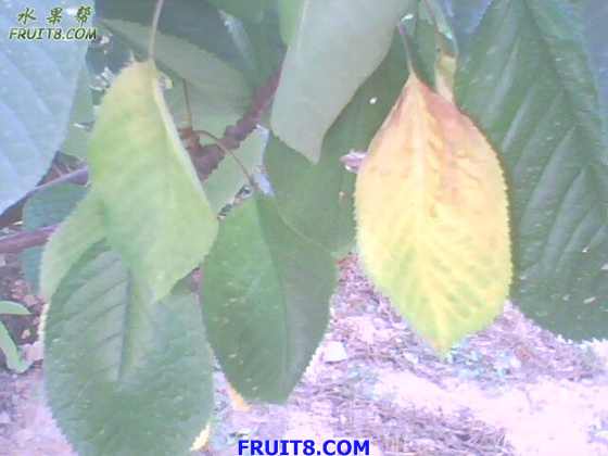 IMG0576A.jpg