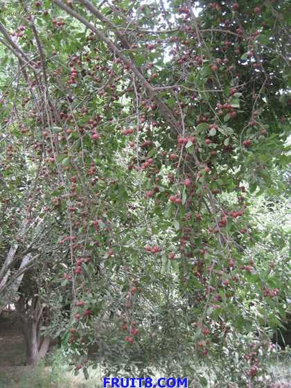 Resize of IMG_5650.jpg