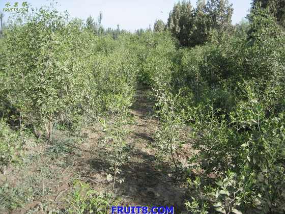 Resize of IMG_5971.jpg