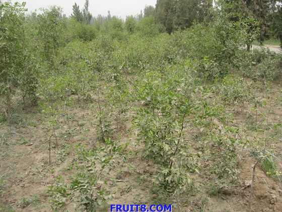 Resize of IMG_6007.jpg