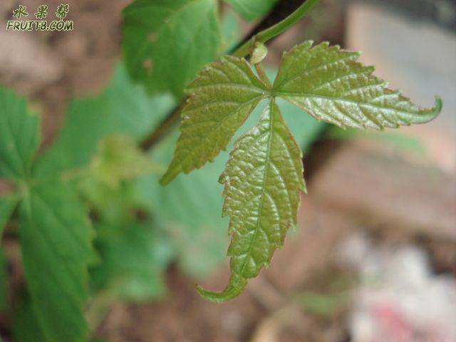 DSC01627.JPG