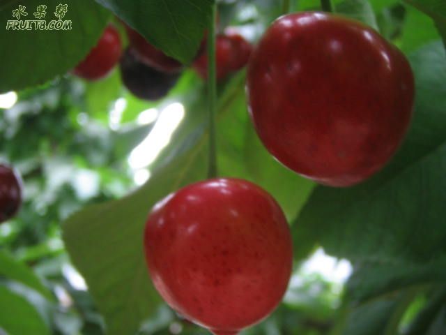 200805242527 029.jpg