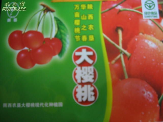 20080512ӣҹܹ 142.jpg