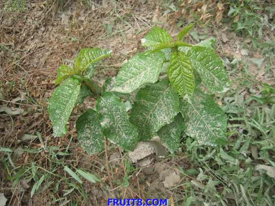 Resize of IMG_6294.jpg