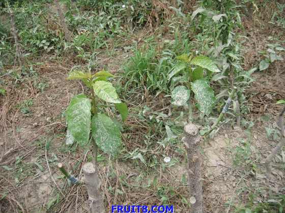 Resize of IMG_6290.jpg