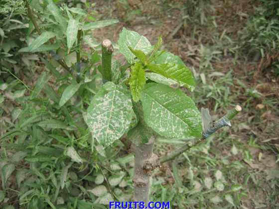 Resize of IMG_6296.jpg