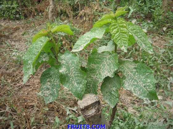 Resize of IMG_6295.jpg