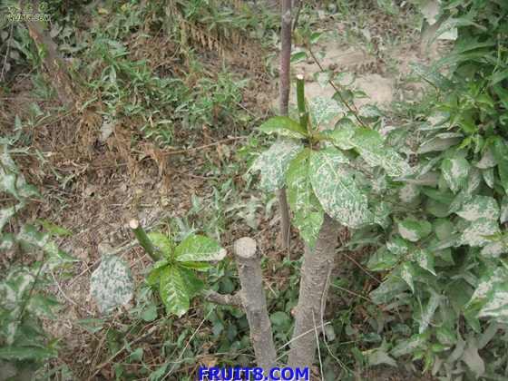 Resize of IMG_6293.jpg