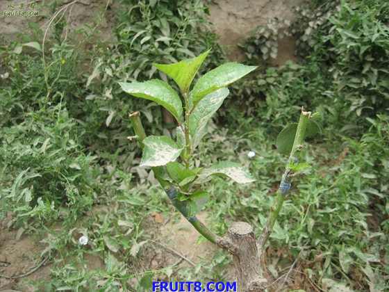 Resize of IMG_6298.jpg