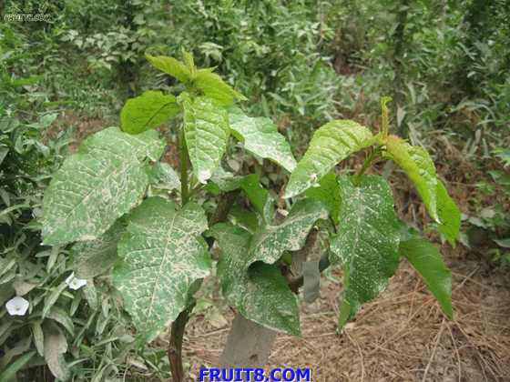 Resize of IMG_6297.jpg