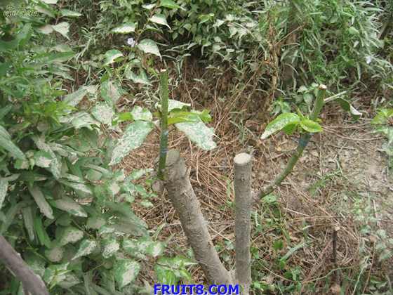 Resize of IMG_6292.jpg