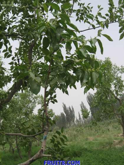 Resize of IMG_6763.jpg