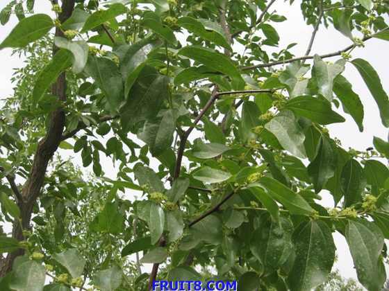 Resize of IMG_6764.jpg