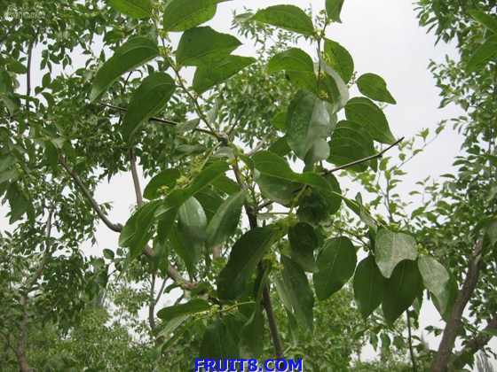 Resize of IMG_6760.jpg