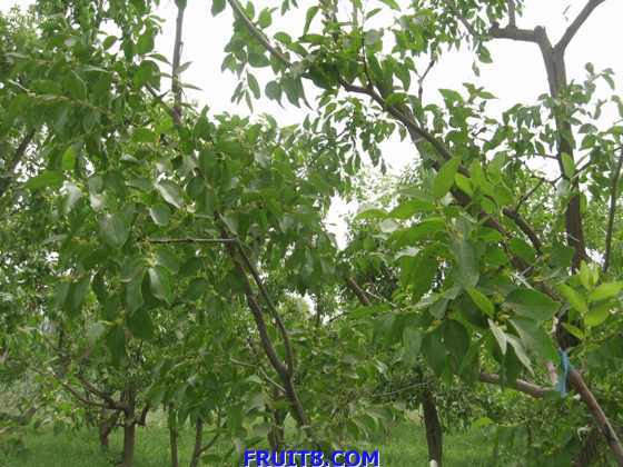 Resize of IMG_6768.jpg