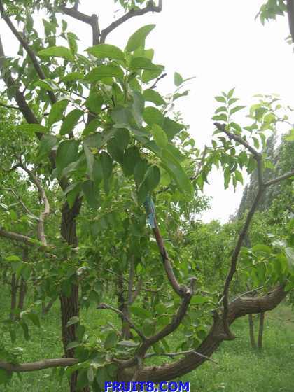 Resize of IMG_6765.jpg