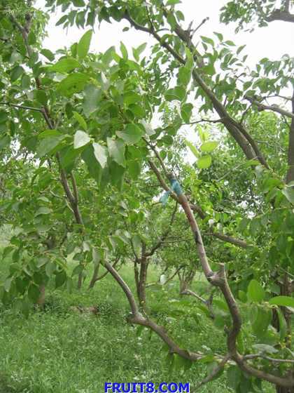 Resize of IMG_6767.jpg