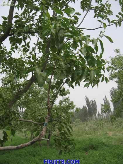 Resize of IMG_6762.jpg