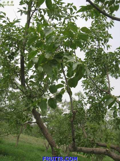 Resize of IMG_6759.jpg