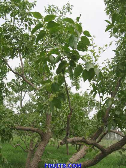 Resize of IMG_6761.jpg