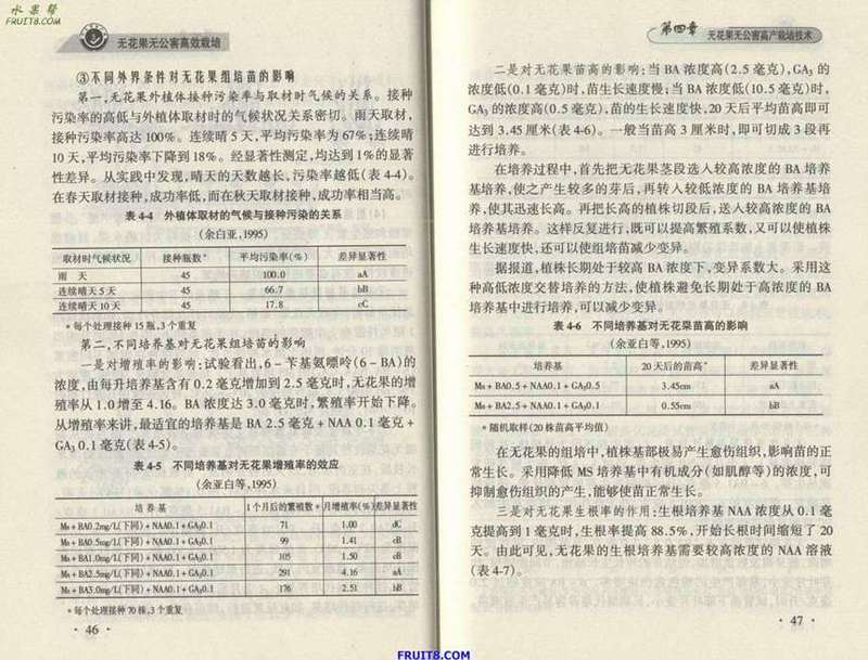 Resize of 6.JPG