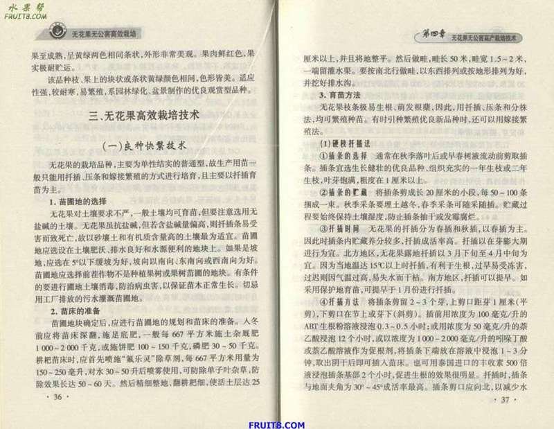 Resize of 1.JPG