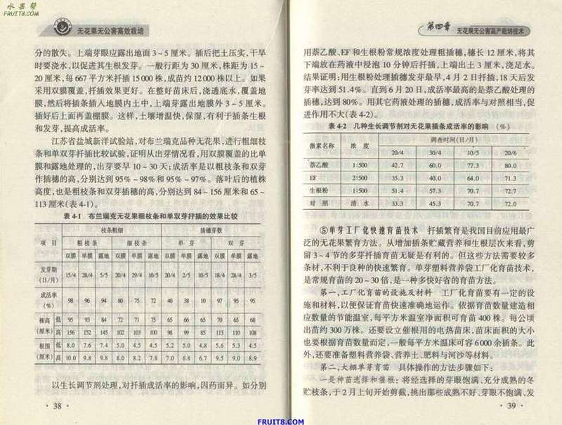Resize of 2.JPG