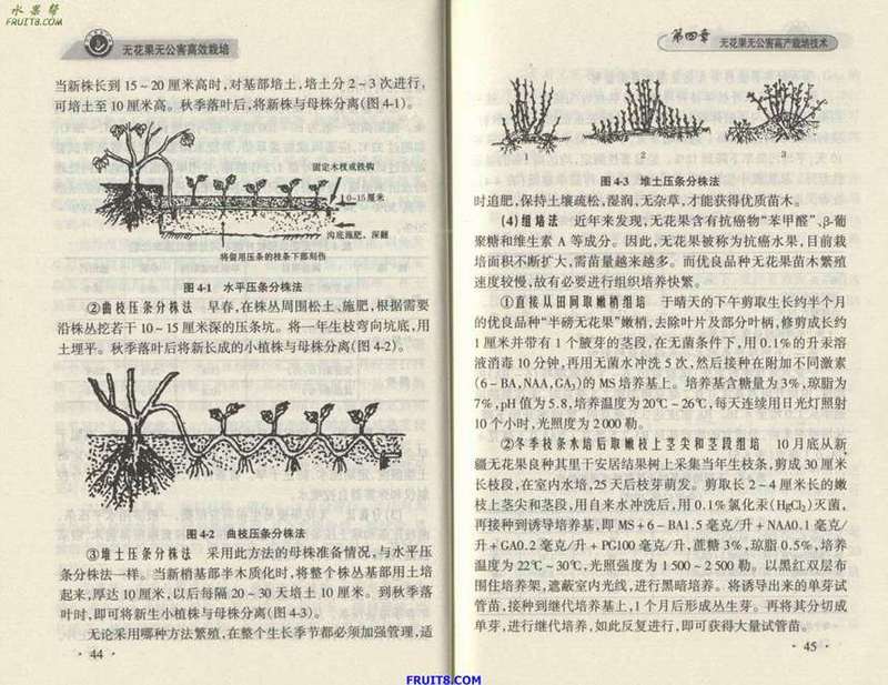 Resize of 5.JPG