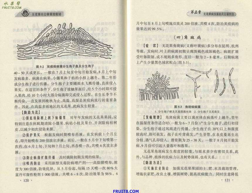 Resize of 5.JPG