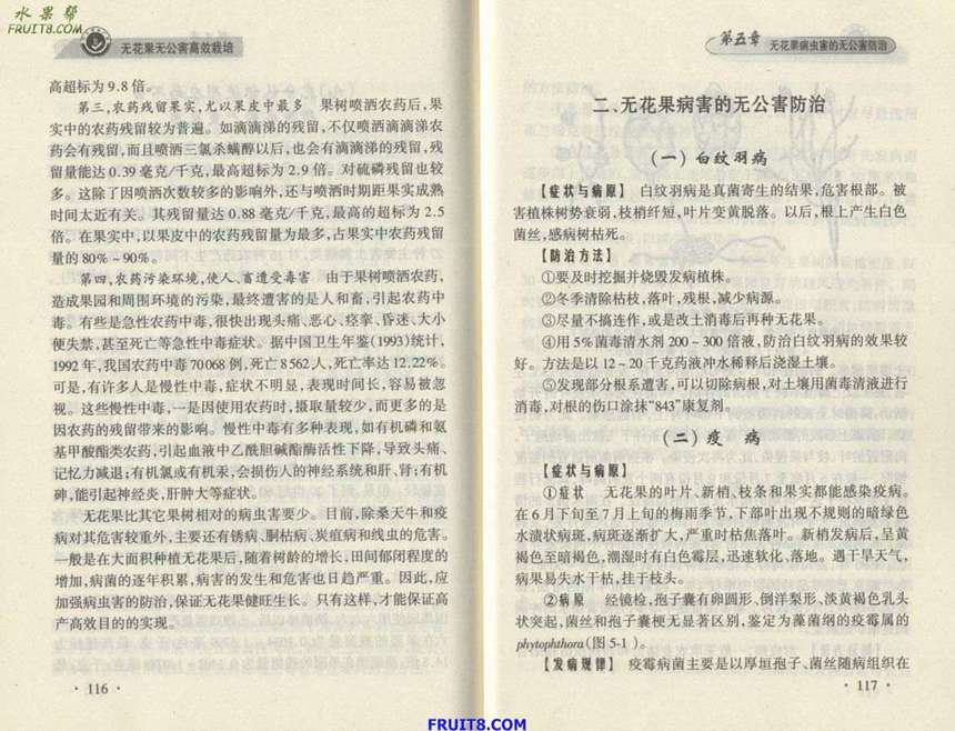 Resize of 3.JPG