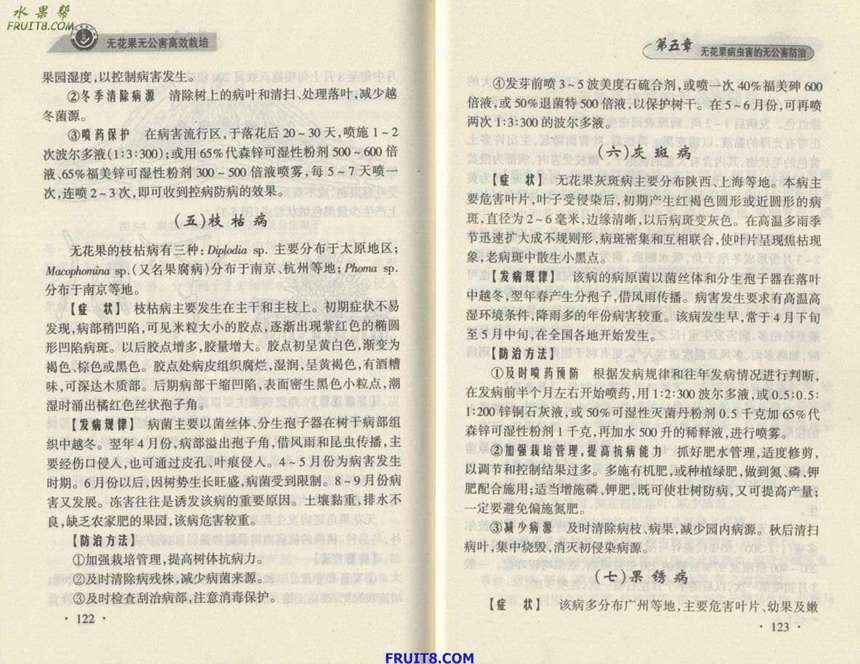 Resize of 6.JPG
