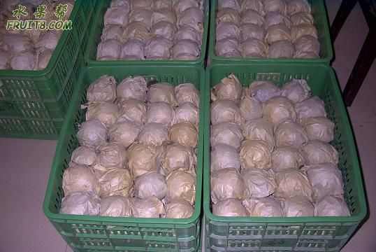 �Ѱںã��ȹ�˾���������г���