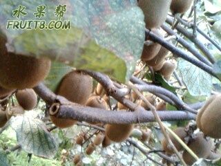 IMG0351A.jpg