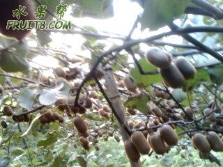 IMG0349A.jpg